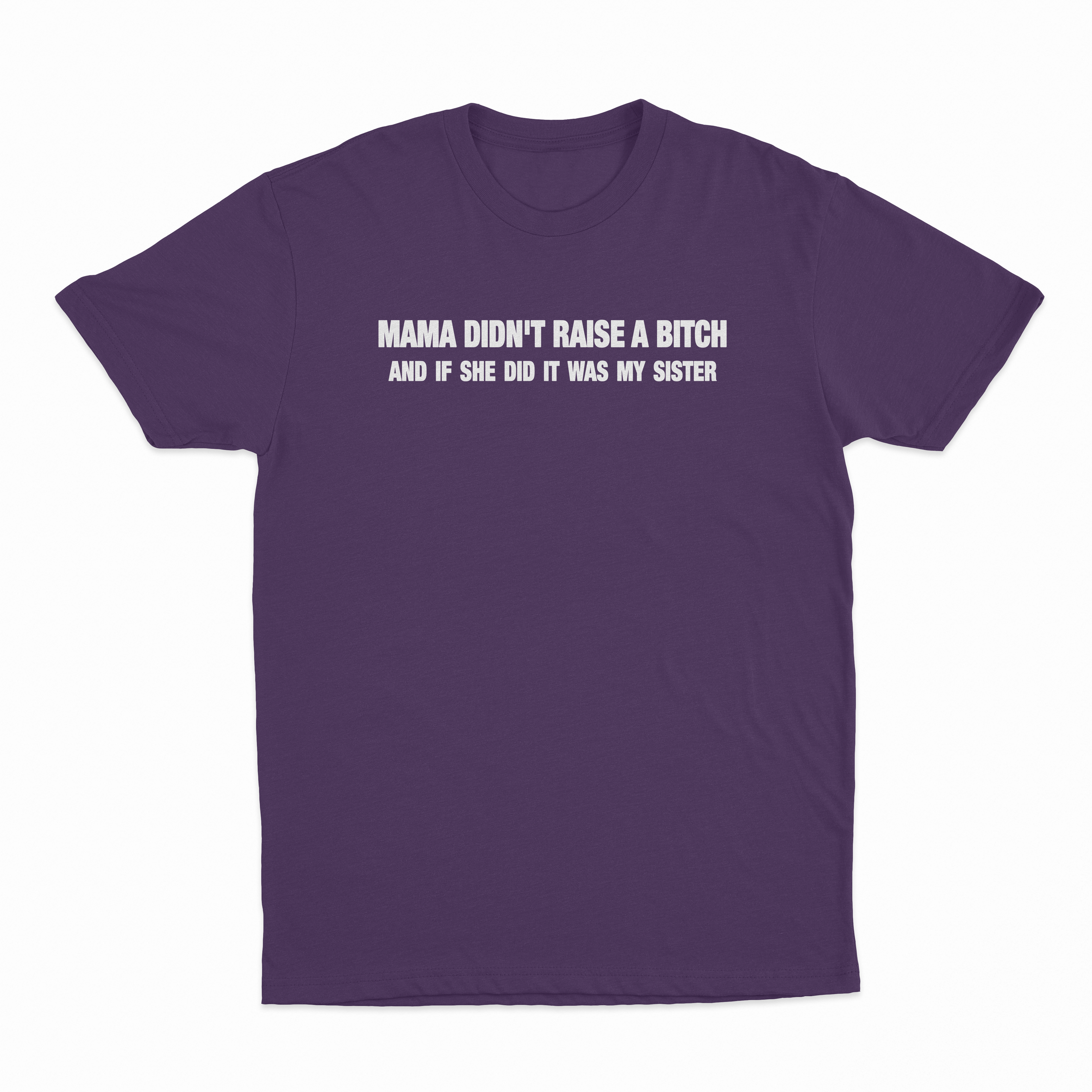 Mama Didn't Raise A Bitch And If She Did It Was My Sister T-Shirt